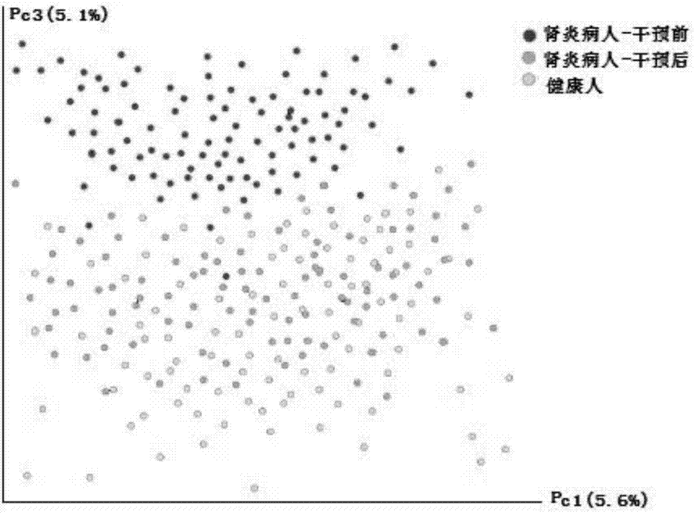 Instant gruel for restoring balance of intestinal flora of chronic nephritis patient and preparation method of instant gruel