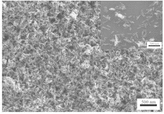 Rapid preparation method of rod-like nano-hydroxyapatite