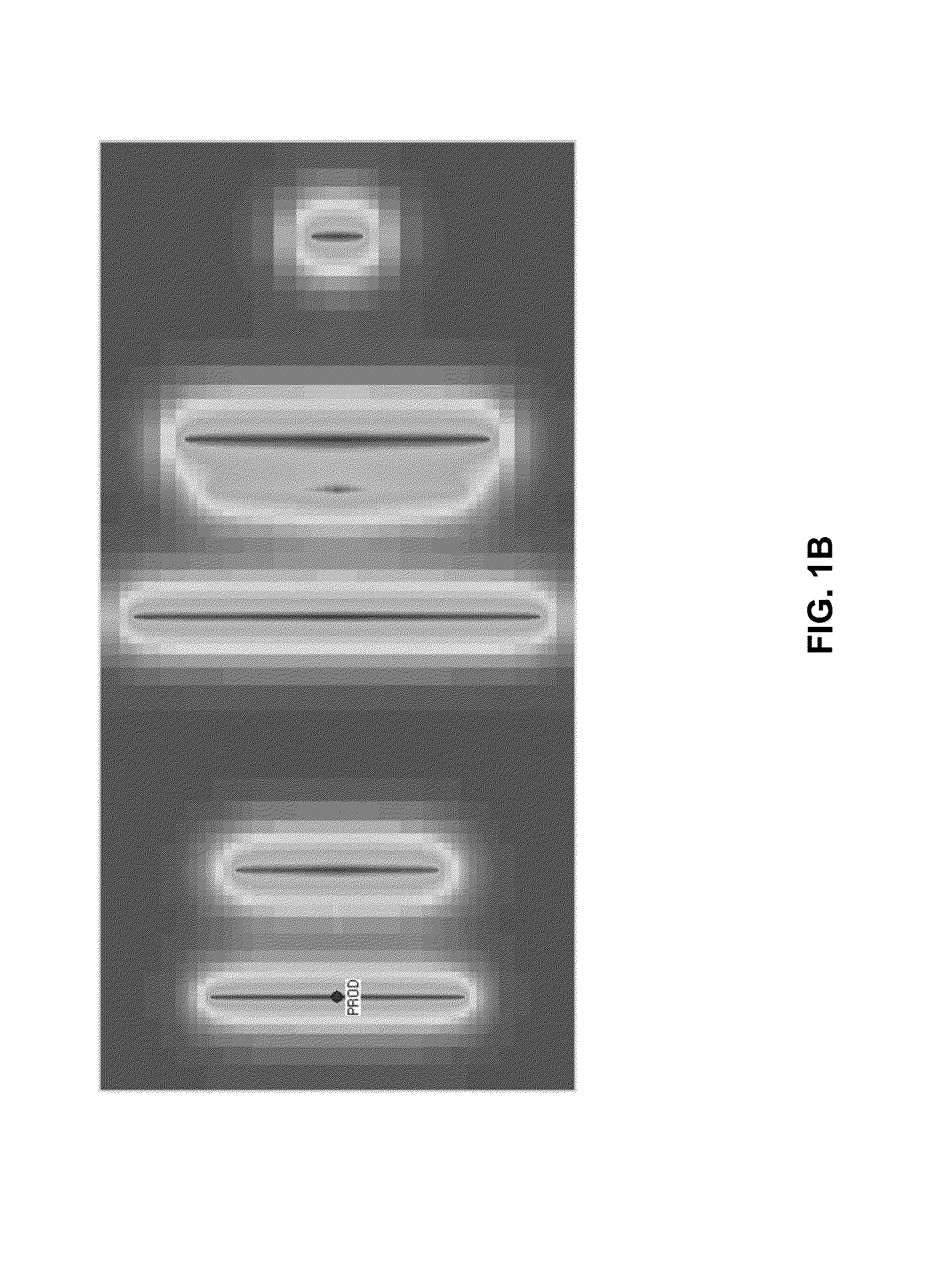 Automatic cartesian gridding with logarithmic refinement at arbitrary locations