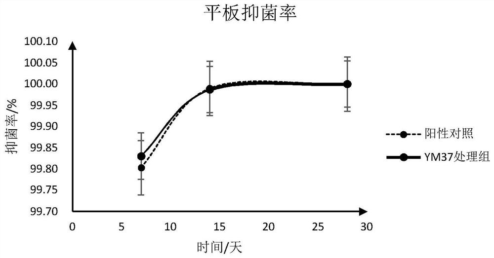 Anti-Escherichia coli Bacillus alvei strain and its antiseptic application in cosmetics