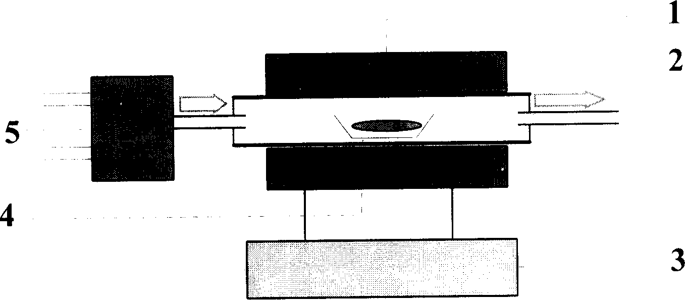 Process for preparing tree-shaped carbon nano tube