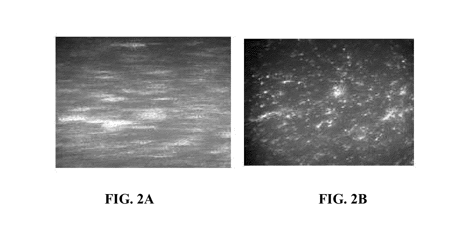 Systems and methods for detection of particles in a beneficial agent