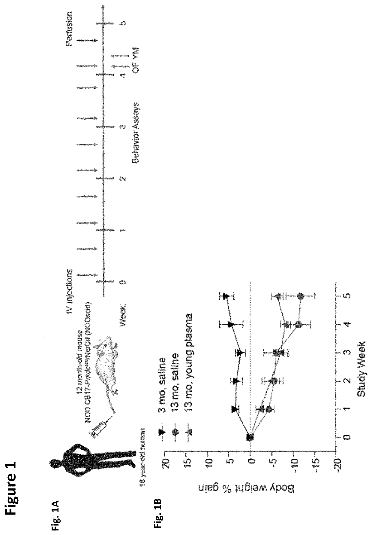 Methods for screening human blood products comprising plasma using immunocompromised rodent models