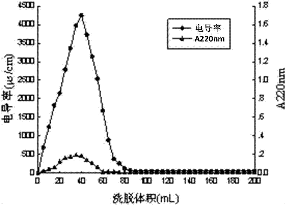 Preparation method of anti-aging whey protein peptide