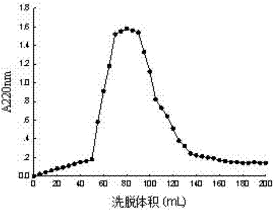 Preparation method of anti-aging whey protein peptide