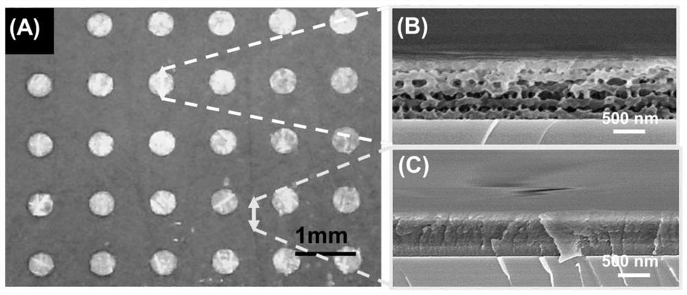 Layered porous polyelectrolyte coating and preparation method thereof