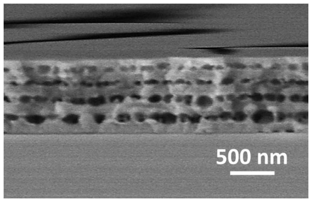 Layered porous polyelectrolyte coating and preparation method thereof