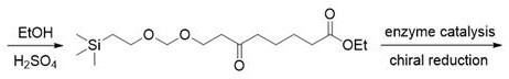 Synthesis method of 8-amino-1-{[2-(trimethylsilyl) ethyoxyl] methoxy} octane-3-ketone