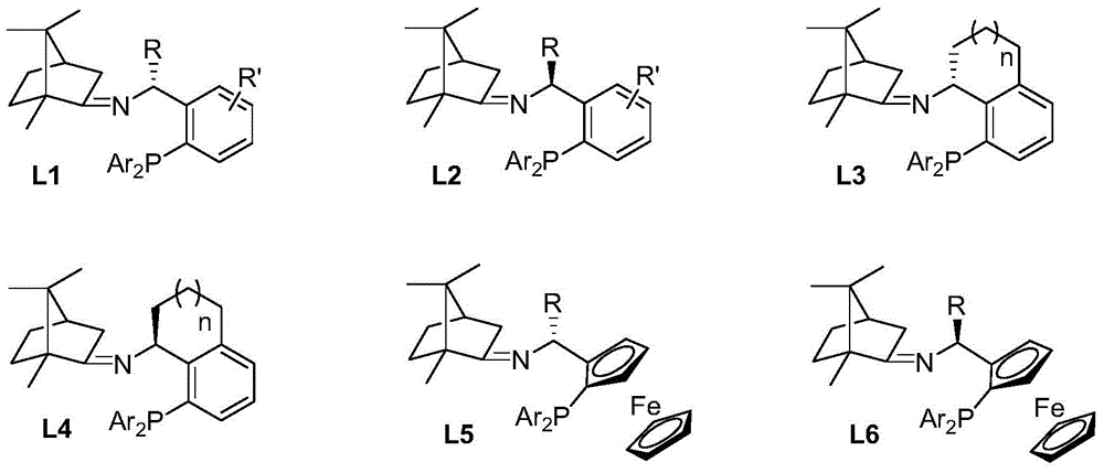 Imine ligand containing camphor