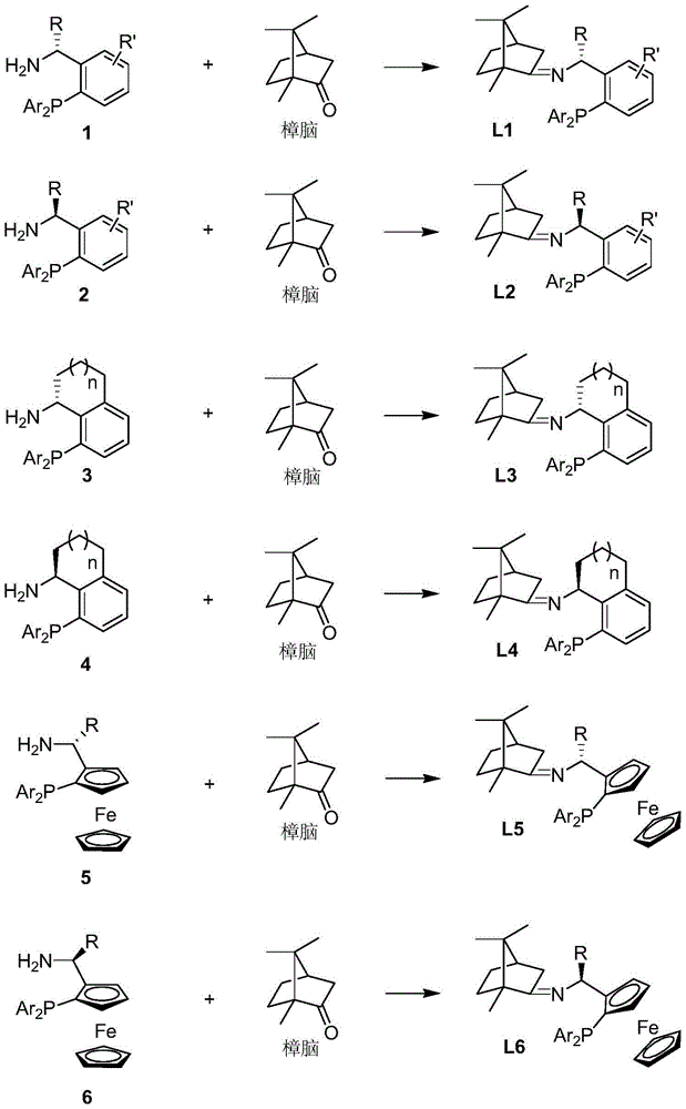 Imine ligand containing camphor