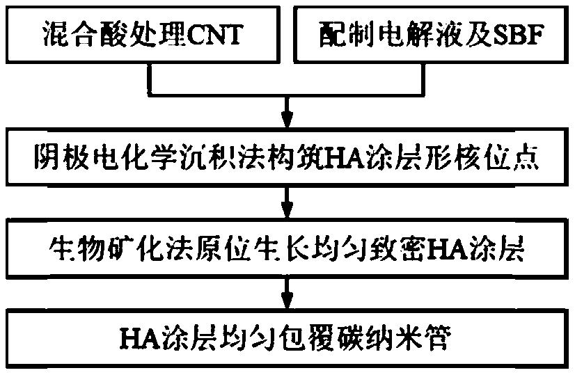 A method for preparing hydroxyapatite coating on the surface of carbon nanotubes based on electrochemical deposition method and biomineralization method