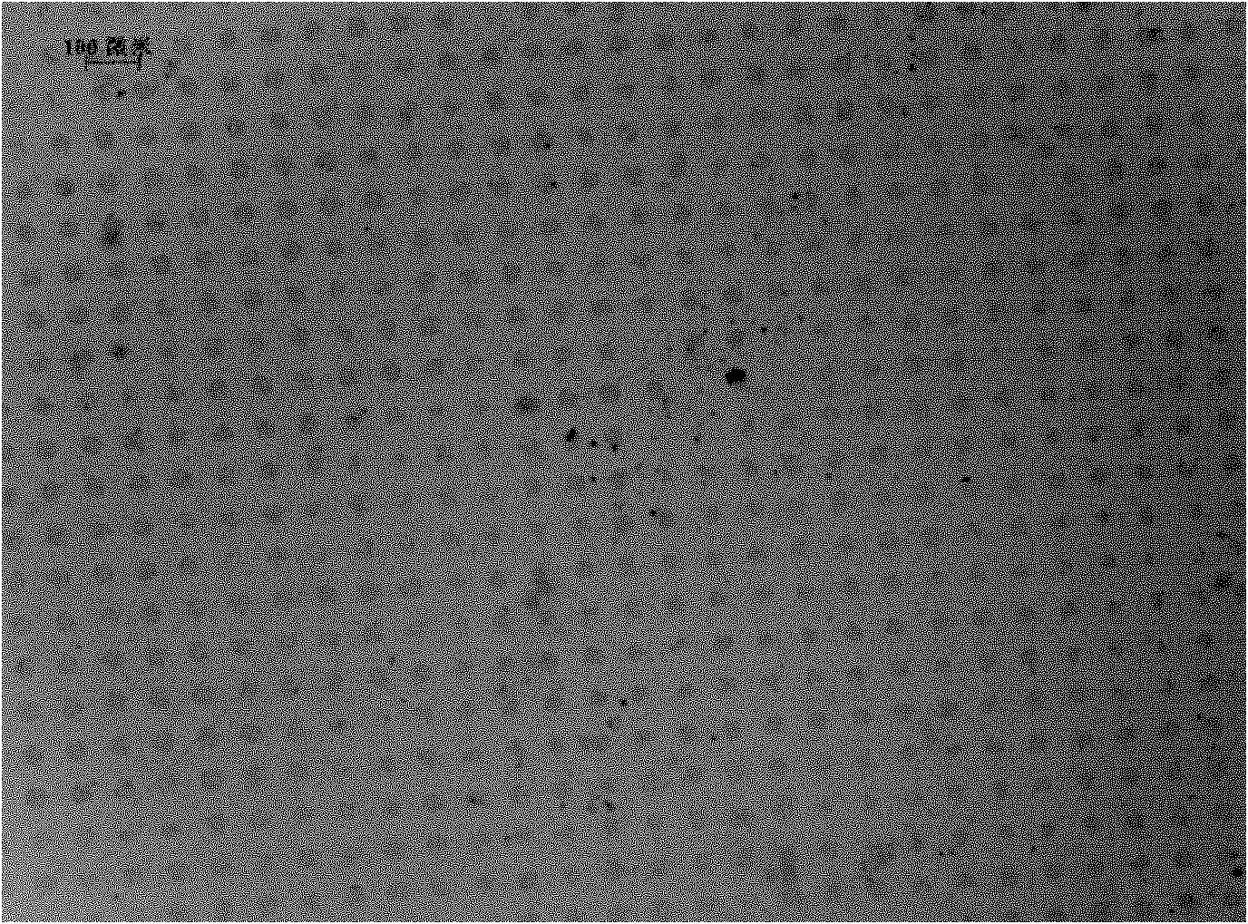 Method for forming graphene oxide pattern and graphene pattern