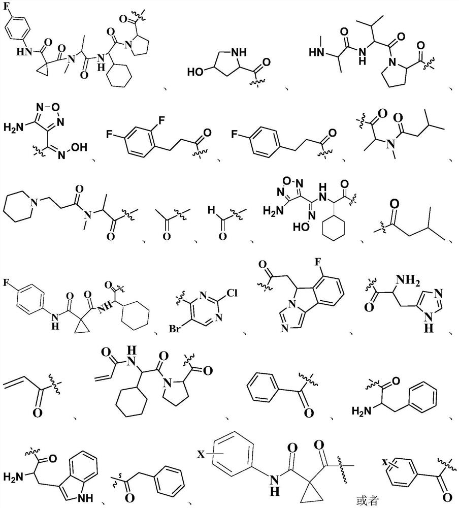 An anti-tumor apoptosis protein inhibitor