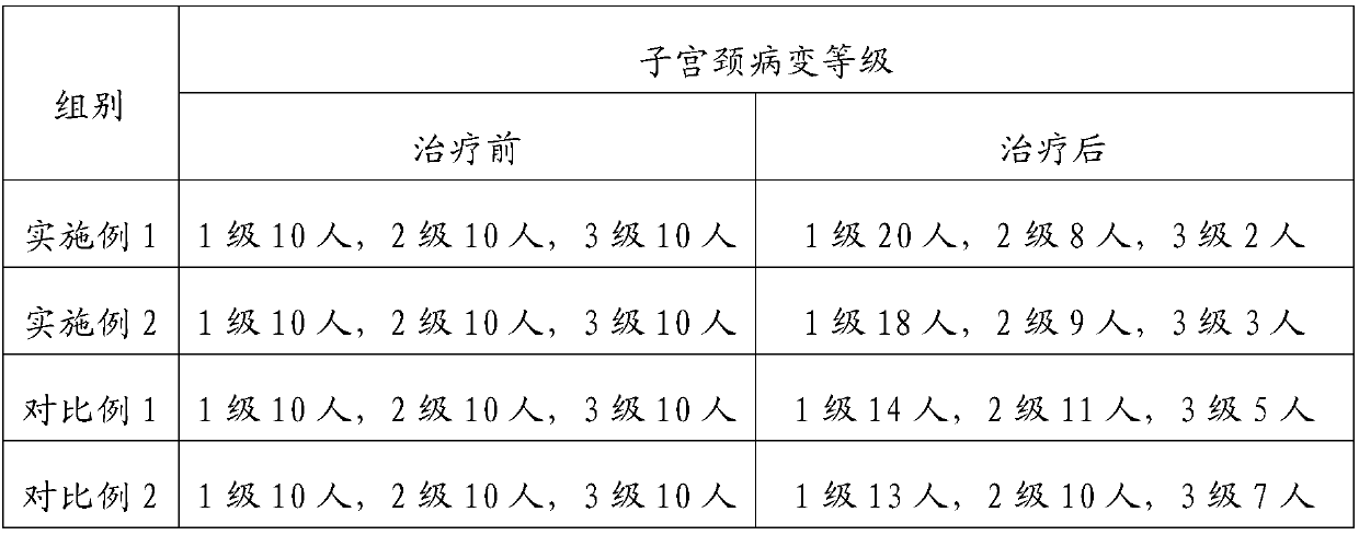 Medicinal preparation for treating cervical erosion and use