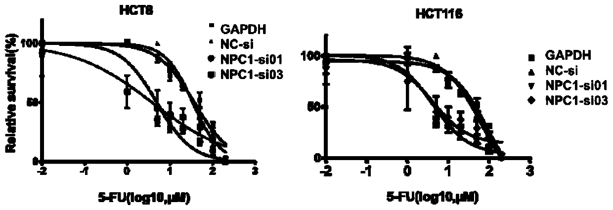 Application of siRNA used for inhibiting NPC1 gene expression