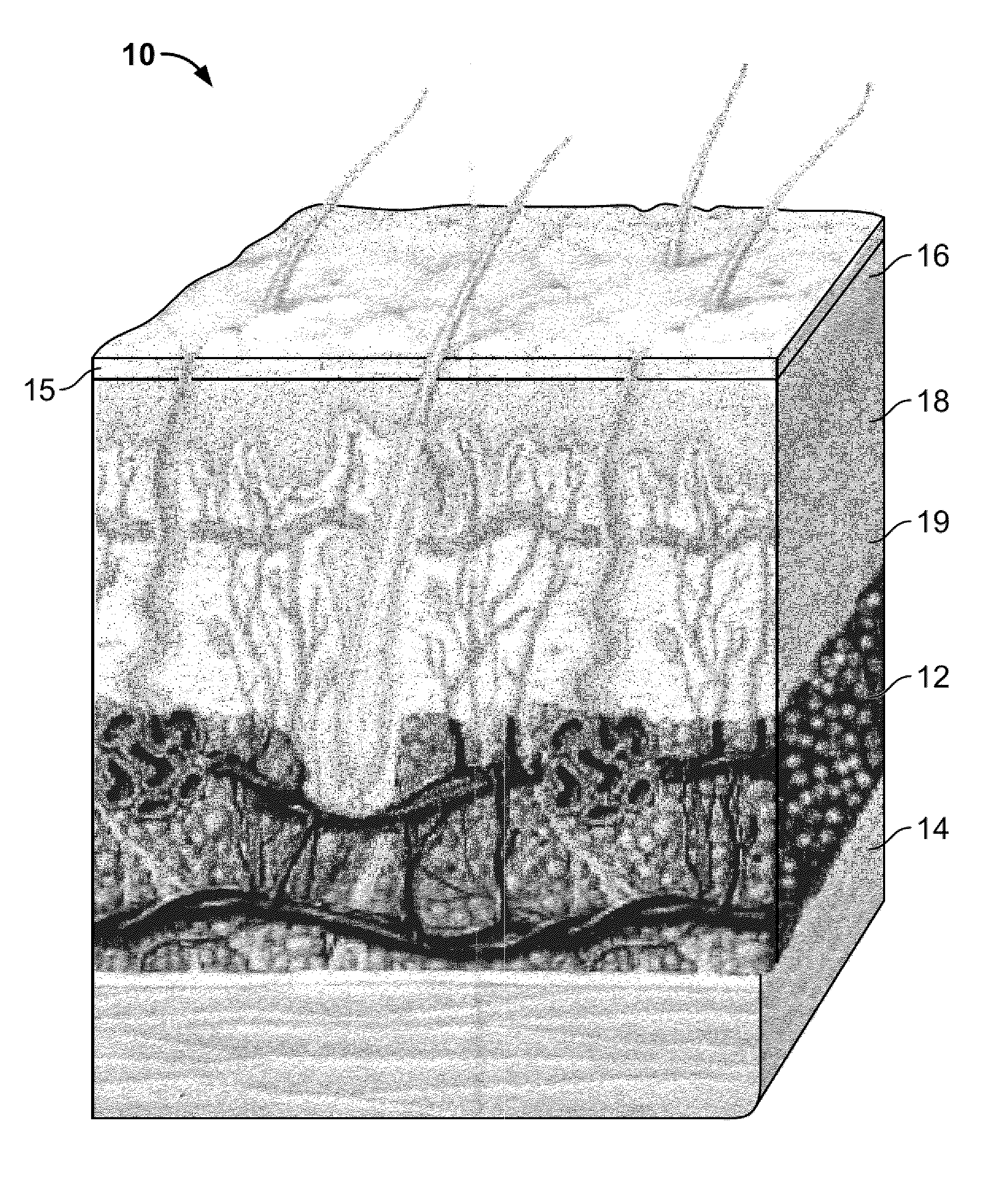 Methods for applying energy to tissue using a graphical interface