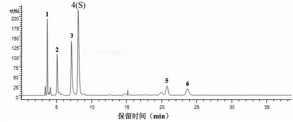 Quality control method for ribonucleic acid II for injection