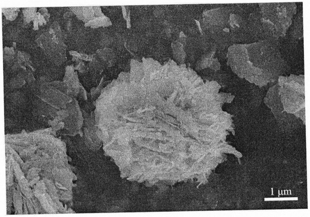 Preparation method of oxygen-vacancy-enriched multivalent cobalt in-situ doped ZnO flower-like microsphere composite photocatalyst