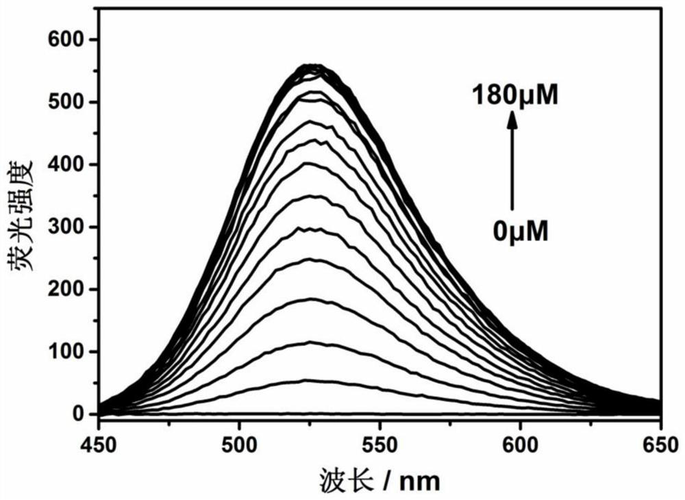 Fluorescent probe for detecting hypochlorite ion, preparation method and application thereof