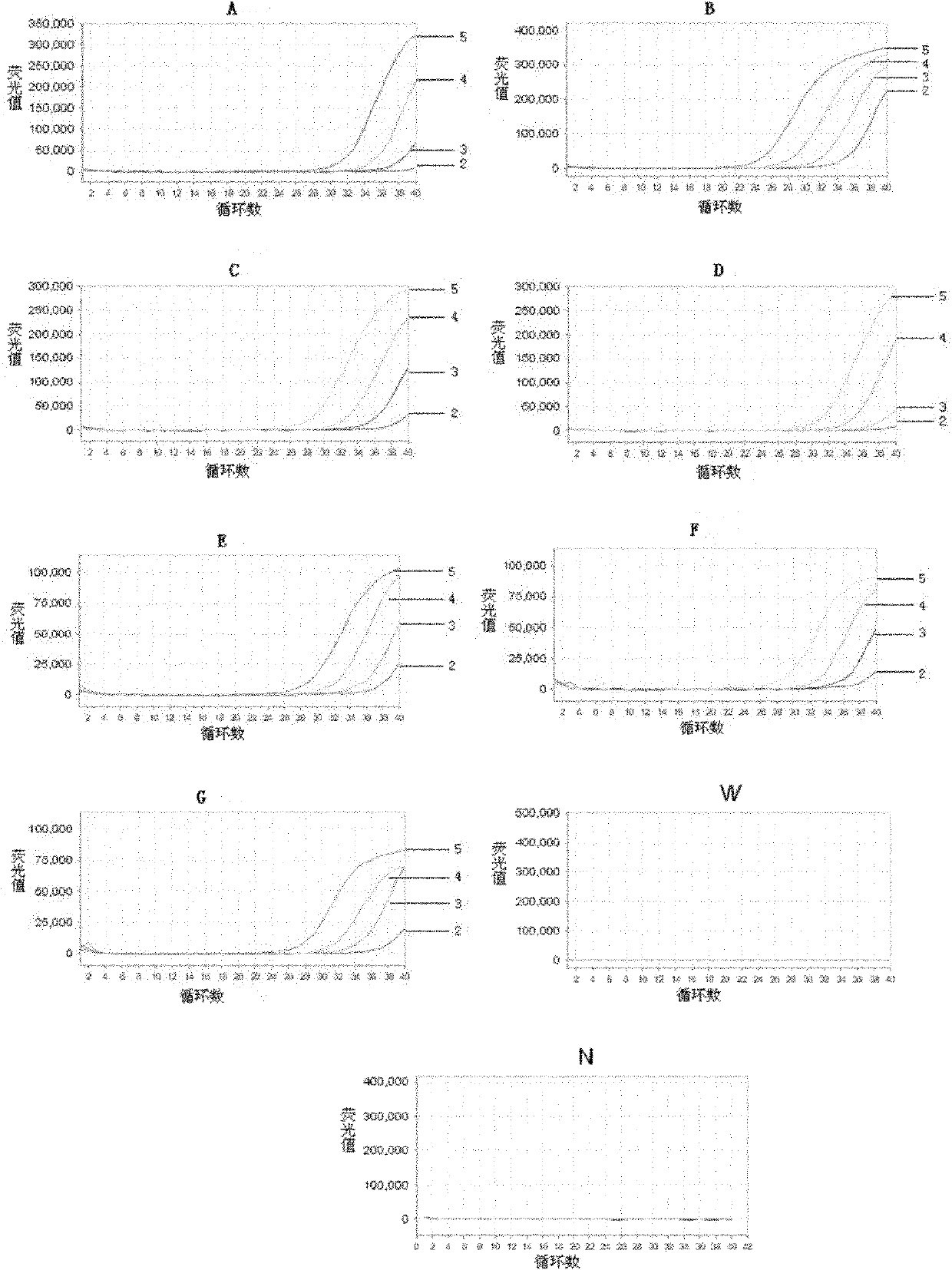 Method and kit for detecting drug resistance of mycobacterium tuberculosis