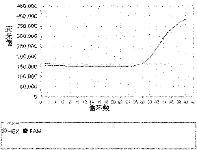 Method and kit for detecting drug resistance of mycobacterium tuberculosis