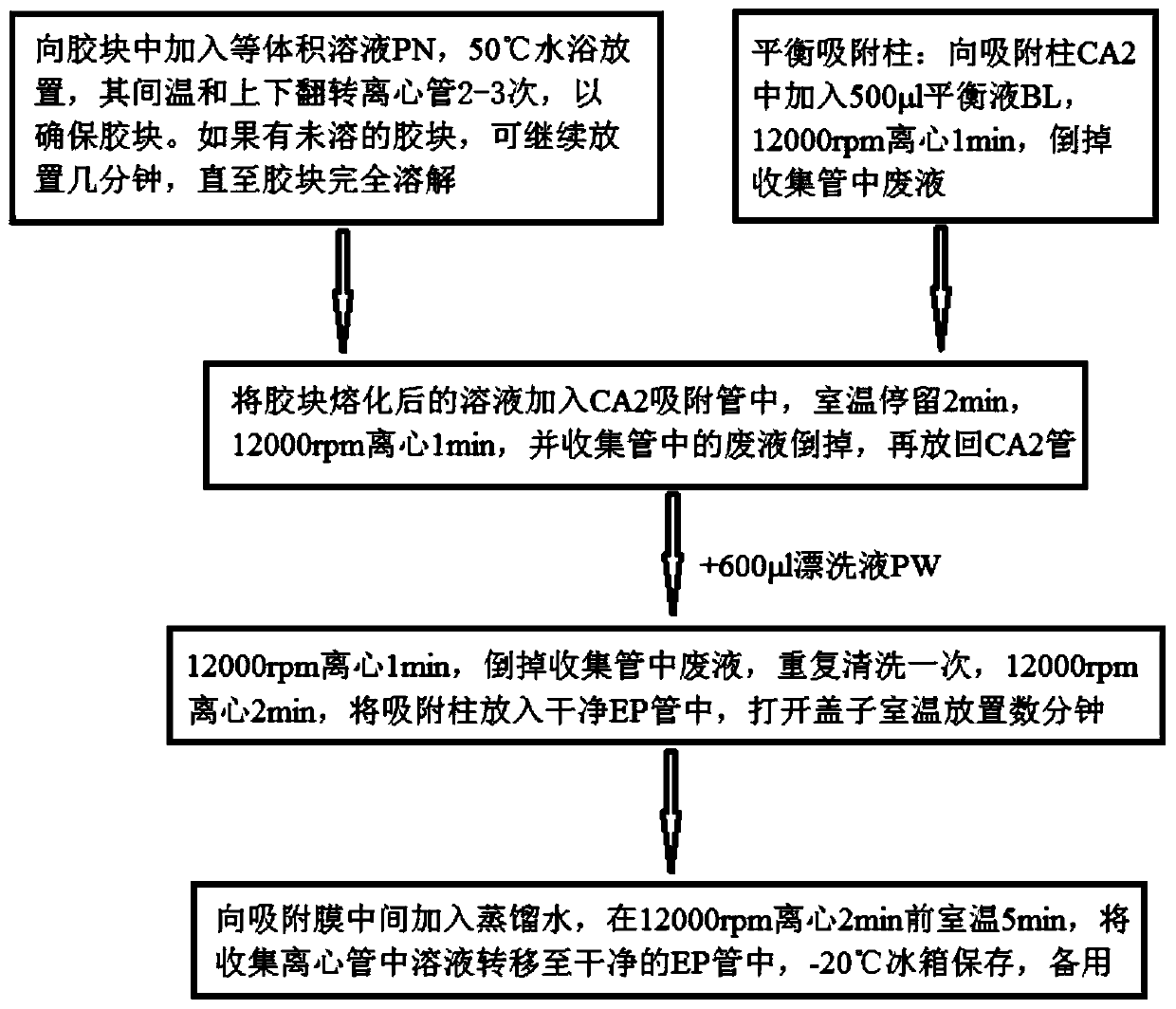 Kit for Rapid Detection of 15 Kinds of Pneumonia Pathogenic Bacteria