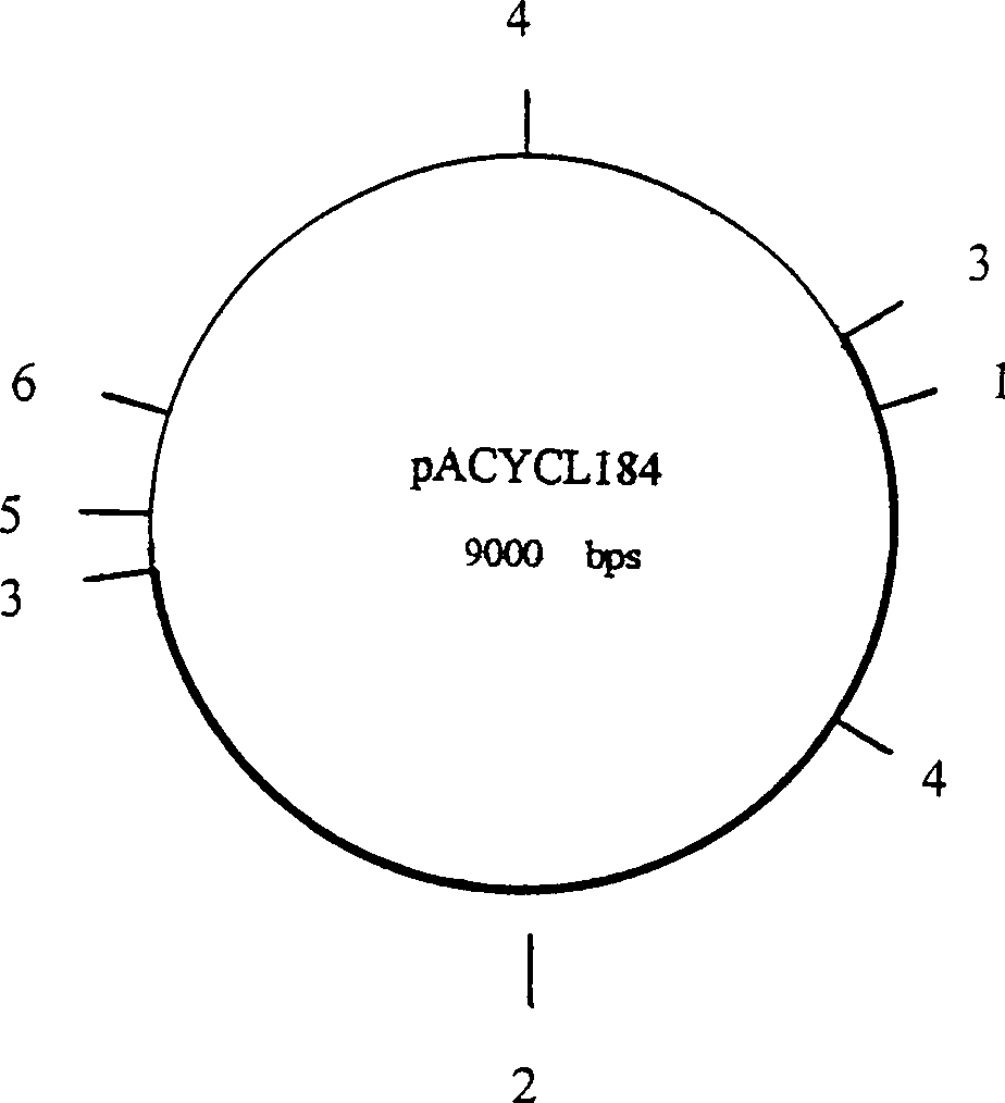 Construction and application of engineering bacterium LZ-17