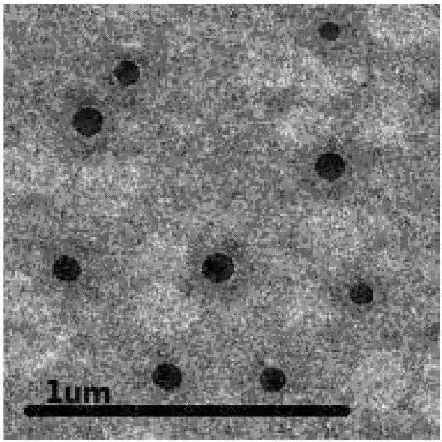 Moleplant seed fatty oil-cholate mixed micelle containing euphorbetin, preparation method and application thereof