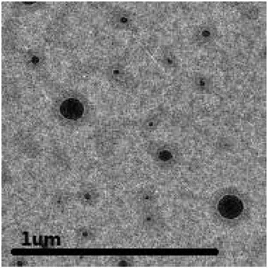 Moleplant seed fatty oil-cholate mixed micelle containing euphorbetin, preparation method and application thereof