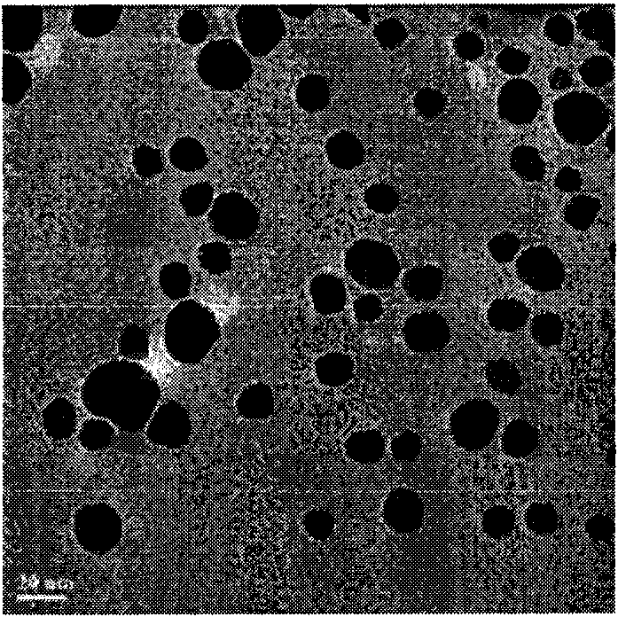 Method for preparing silver selenide nanometer material