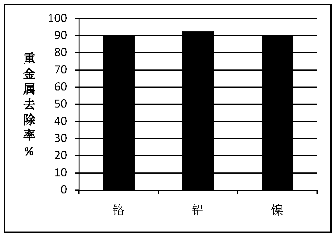 Magnetic heavy metal trapping agent and application thereof