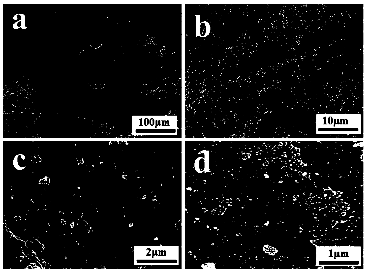 A composite photocatalytic diatom plate and its preparation method