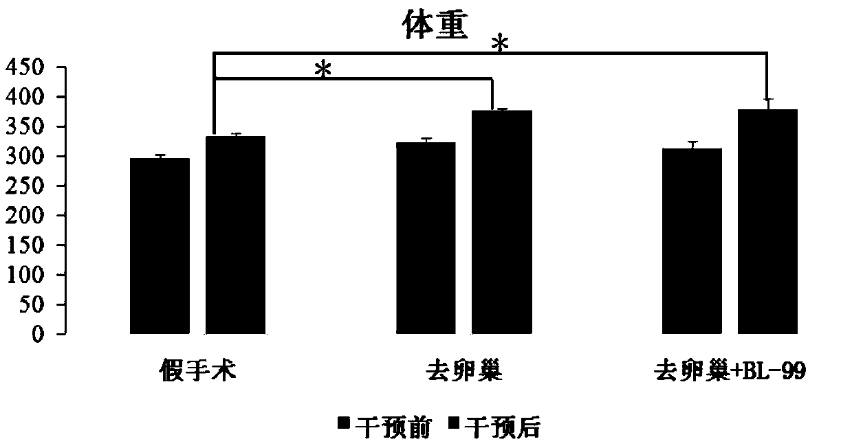 Bifidobacterium lactis-containing fermented dairy product and application thereof