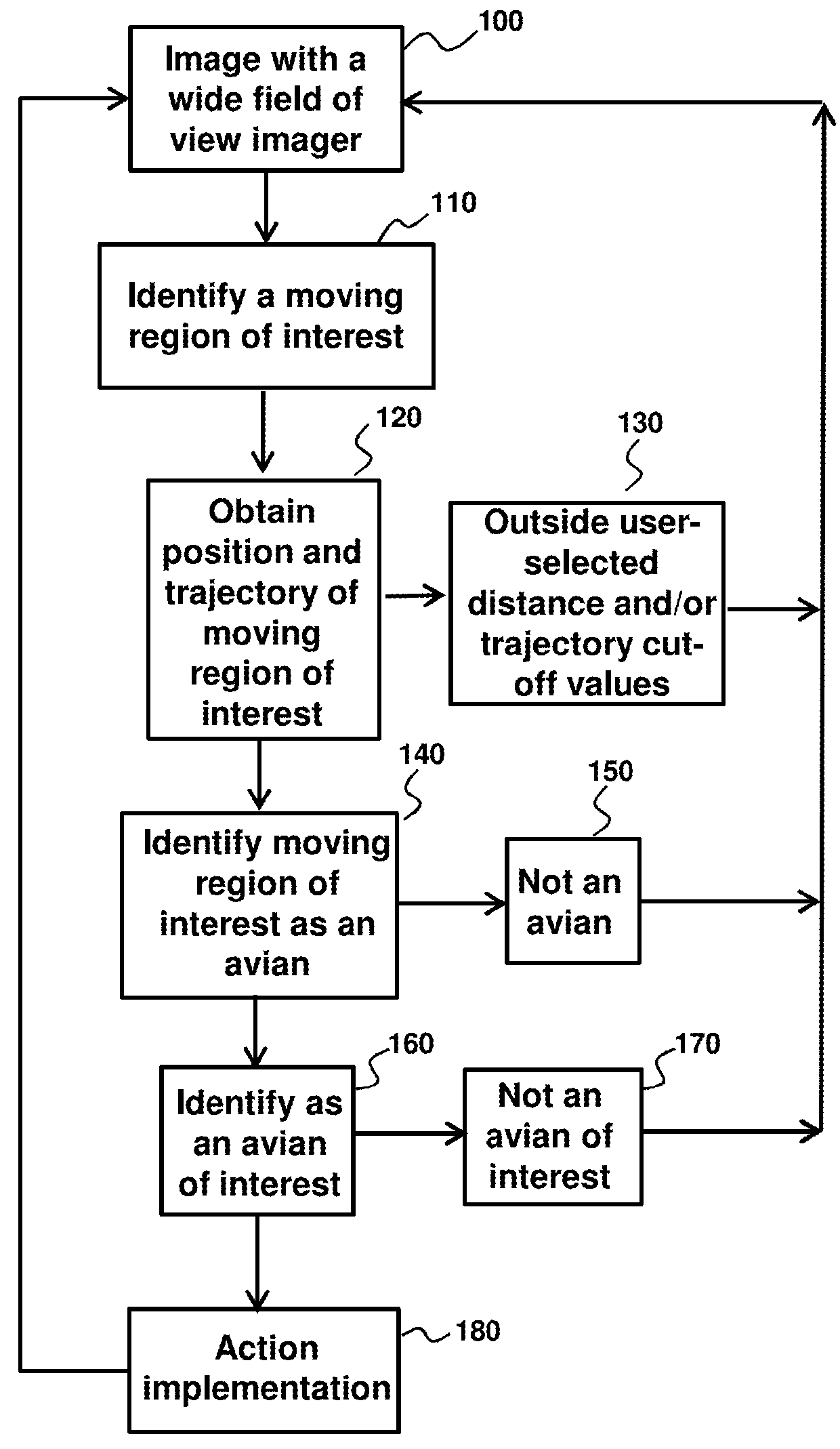 Avian detection systems and methods