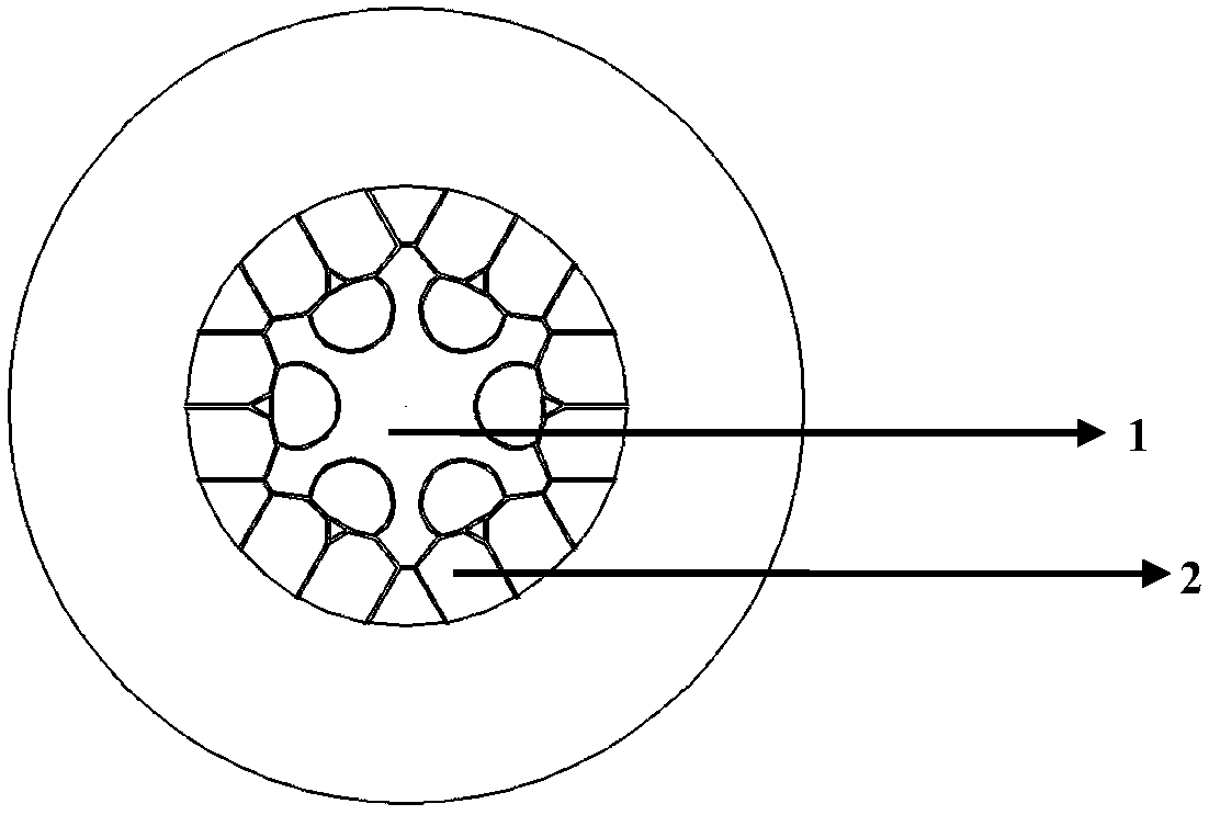 A hollow core anti-resonant optical fiber