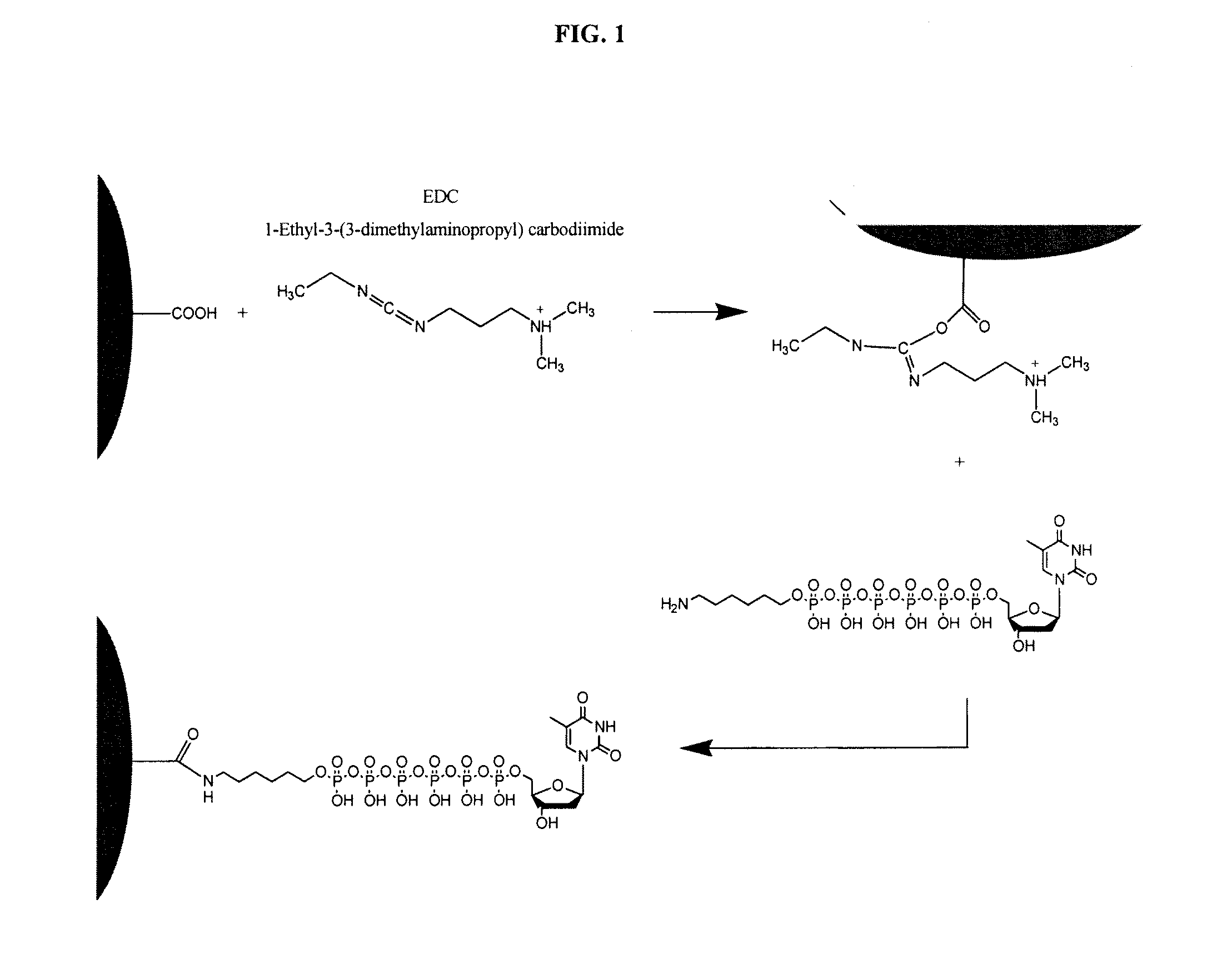 Phospholink nucleotides for sequencing applications