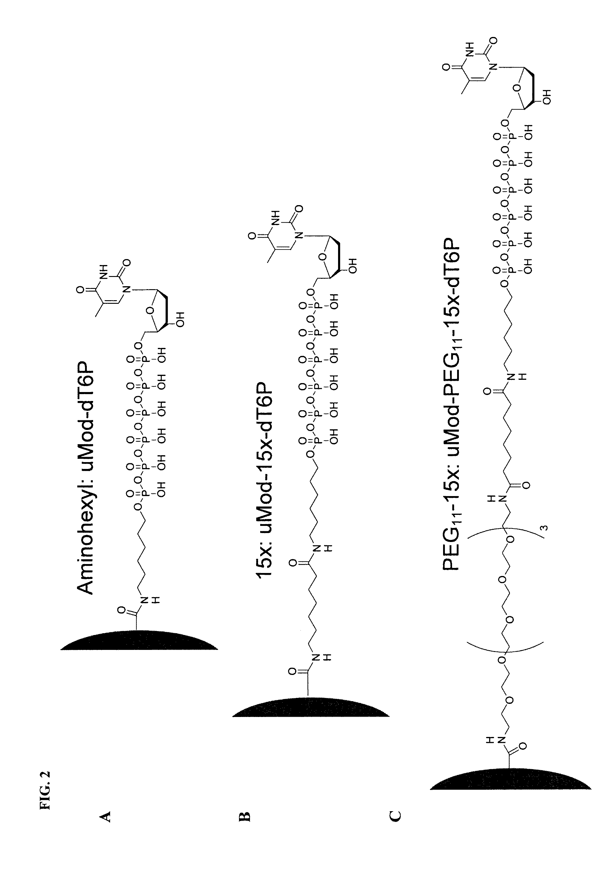 Phospholink nucleotides for sequencing applications