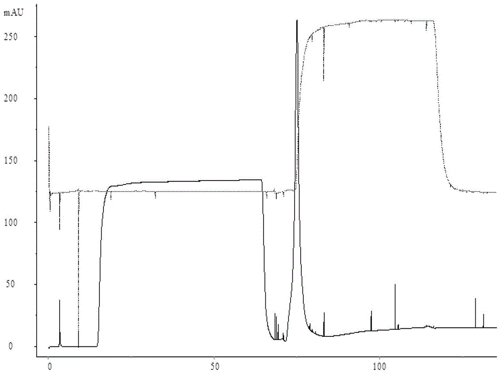 Method for removing residual dna in Japanese encephalitis vaccine products by anion exchange chromatography