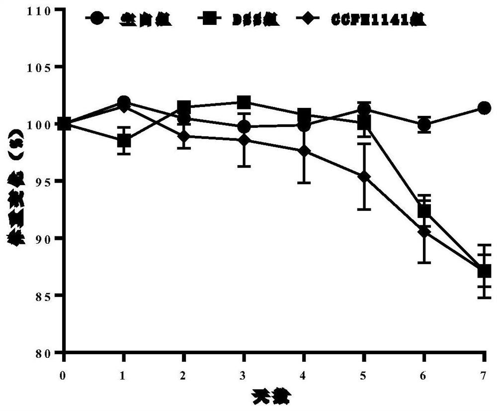 Lactobacillus rumen for relieving colitis and application of lactobacillus rumen