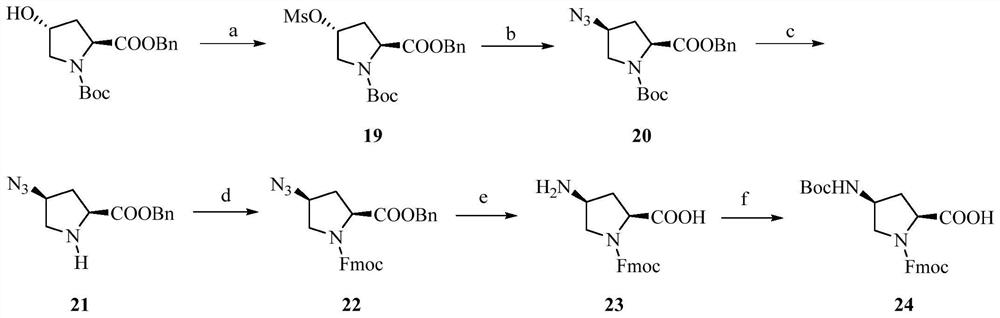 Endomorphin analogue and application thereof