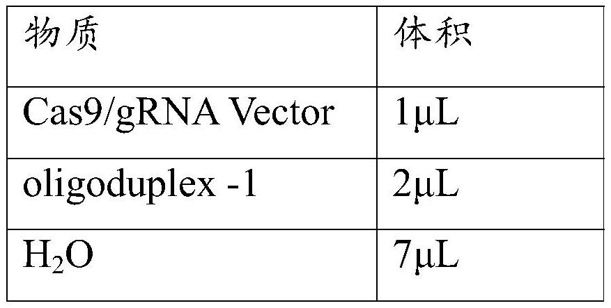 A complete set of sgRNA specifically recognizing porcine wip1 gene and its application and products