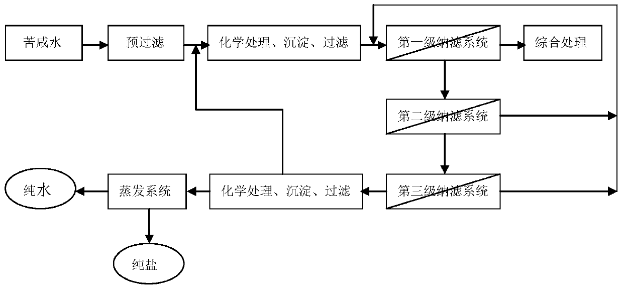 Processing technology of bitter salt water