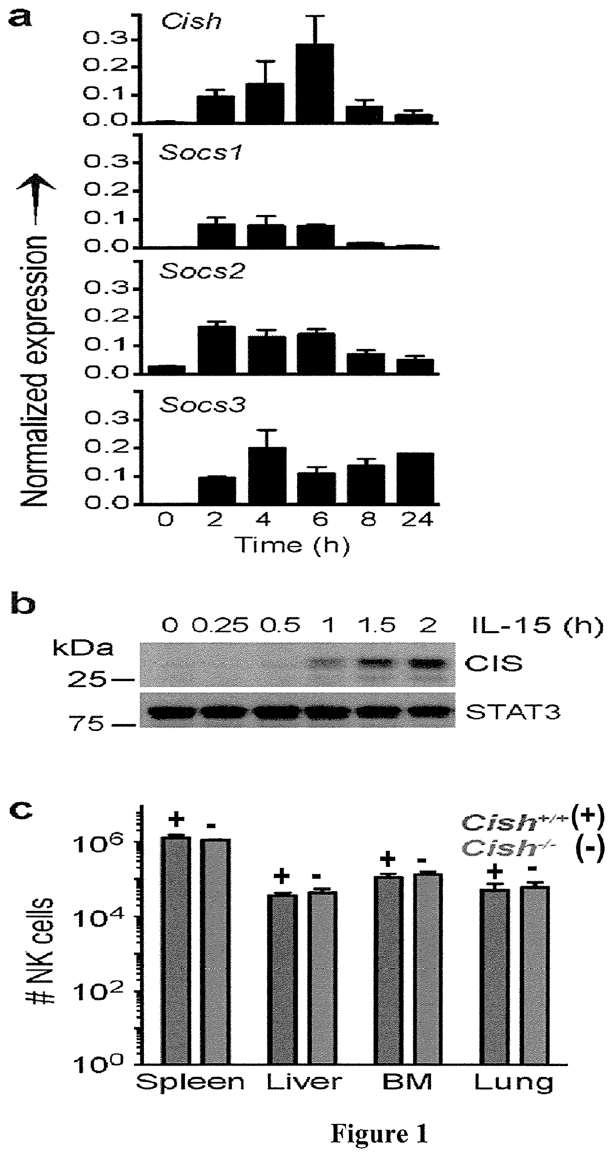 Inhibition of cytokine-induced SH2 protein in NK cells