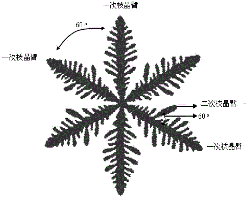 Numerical modeling method for magnesium alloy dendritic structure