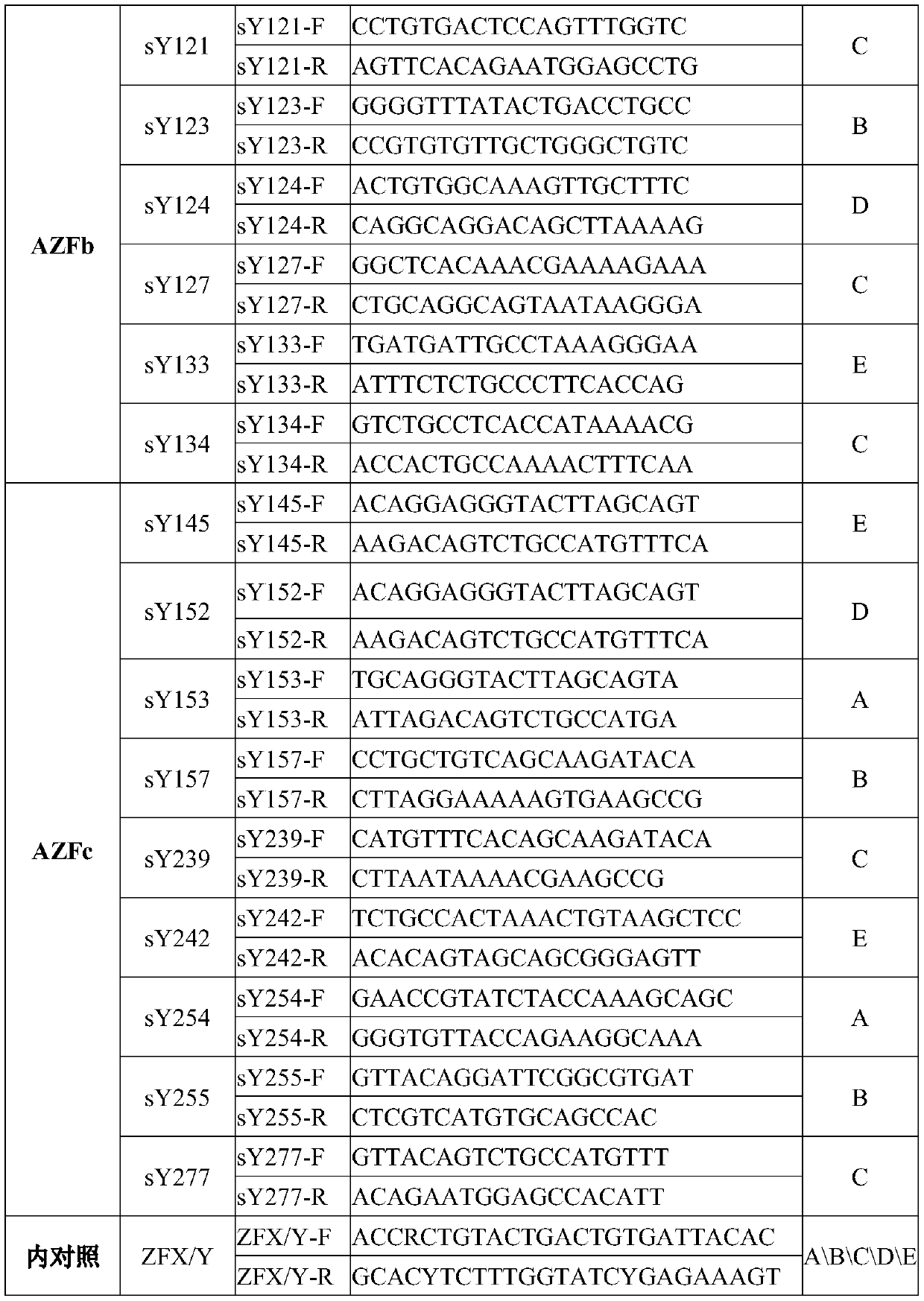 Y-chromosome microdeletion detection primer group and kit