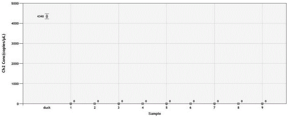 Specific primer, probe, kit and method for detecting duck-origin components in meat products