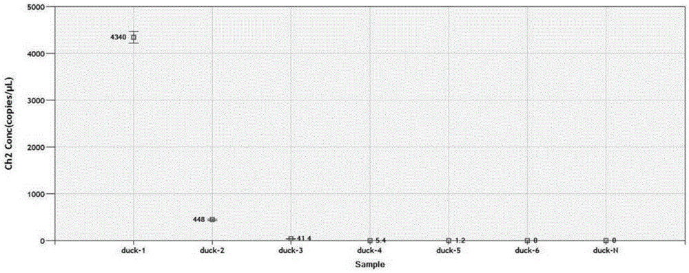 Specific primer, probe, kit and method for detecting duck-origin components in meat products