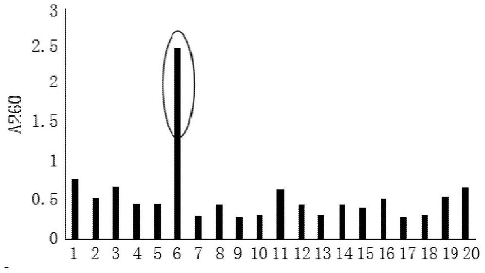 Preparation method and application of human-human chimeric antiviral IgG antibody positive control