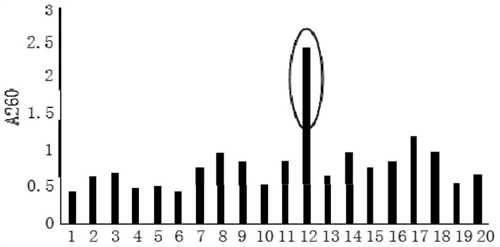 Preparation method and application of human-human chimeric antiviral IgG antibody positive control