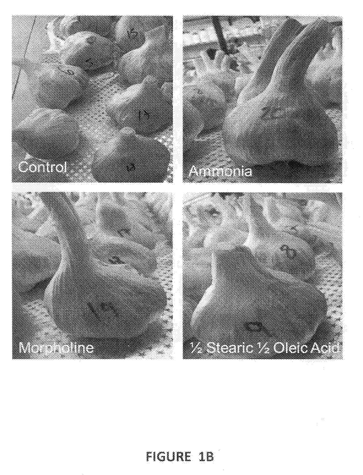 Edible morpholine-free coating formulations